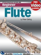 Flute Lessons For Beginners
