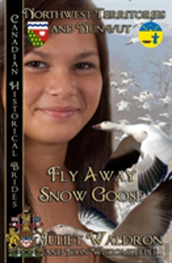 Bertrand.pt - Fly Away Snow Goose