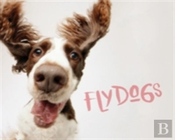 Bertrand.pt - Flydogs