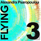 Flying 3