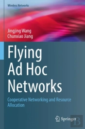 Flying Ad Hoc Networks