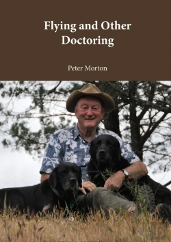 Bertrand.pt - Flying And Other Doctoring