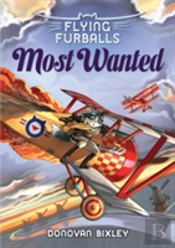 Flying Furballs 4: Most Wanted