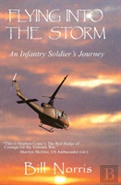 Flying Into The Storm