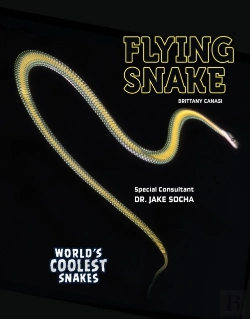 Bertrand.pt - Flying Snake