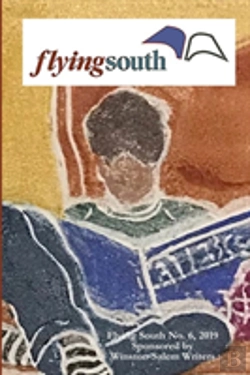 Bertrand.pt - Flying South 2019