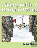 Flying With A Broken Wing