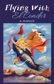 Flying With El Condor