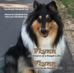 Bertrand.pt - Flynn
