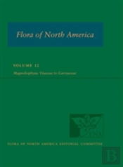 Fna: Volume 12: Magnoliophyta: Vitaceae To Garryaceae