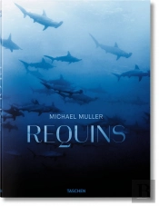 Fo-Sharks, F