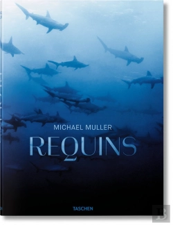 Bertrand.pt - Fo-Sharks, F