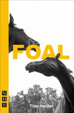 Bertrand.pt - Foal