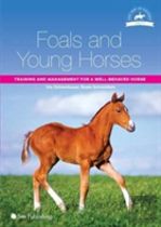 Foals And Young Horses