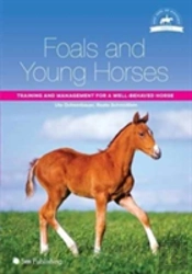 Foals And Young Horses