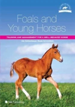 Bertrand.pt - Foals And Young Horses