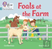 Foals At The Farm