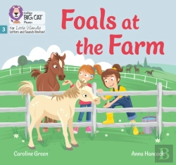 Bertrand.pt - Foals At The Farm