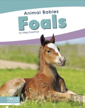Foals