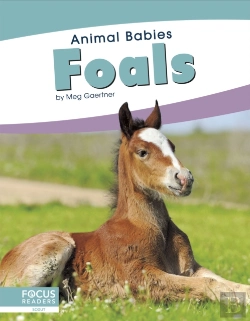 Bertrand.pt - Foals