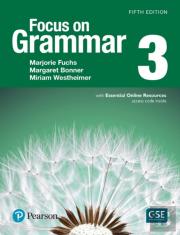 Focus On Grammar 3