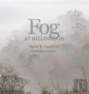 Fog At Hillingdon