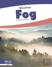 Fog