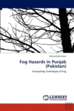 Bertrand.pt - Fog Hazards In Punjab (Pakistan)
