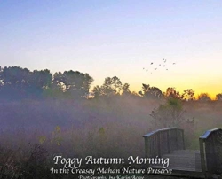 Bertrand.pt - Foggy Autumn Morning