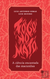 Fogo No Mato