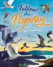 Follow The Flyway