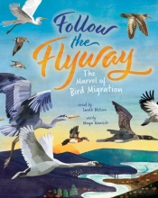 Follow The Flyway