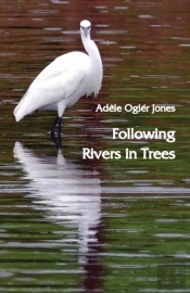 Following Rivers In Trees