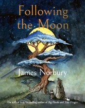 Following The Moon