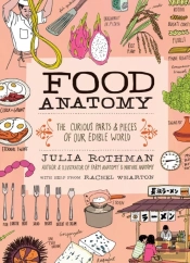 Food Anatomy