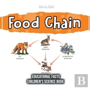Food Chain Educational Facts Children'S Science Book