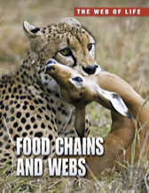 Food Chains And Webs