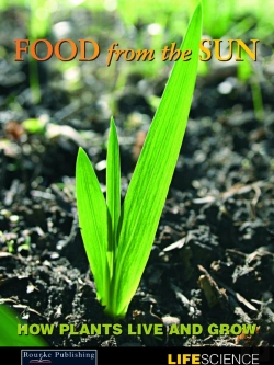 Bertrand.pt - Food From The Sun