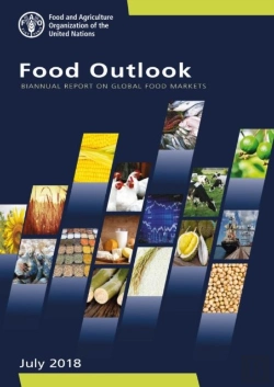 Bertrand.pt - Food Outlook