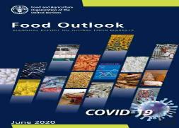 Food Outlook