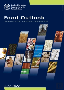 Bertrand.pt - Food Outlook, November 2022