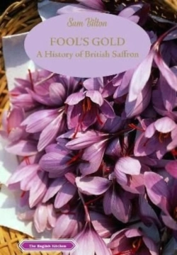Bertrand.pt - Fool'S Gold
