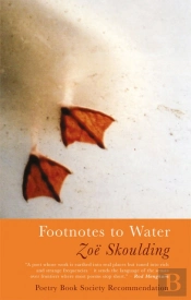 Footnotes To Water