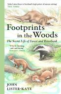 Footprints In The Woods