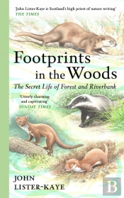 Footprints In The Woods