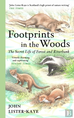 Bertrand.pt - Footprints In The Woods