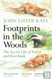 Footprints In The Woods