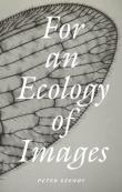 For An Ecology Of Images