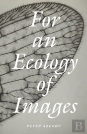 For An Ecology Of Images