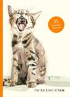For The Love Of Cats: 25 Postcards